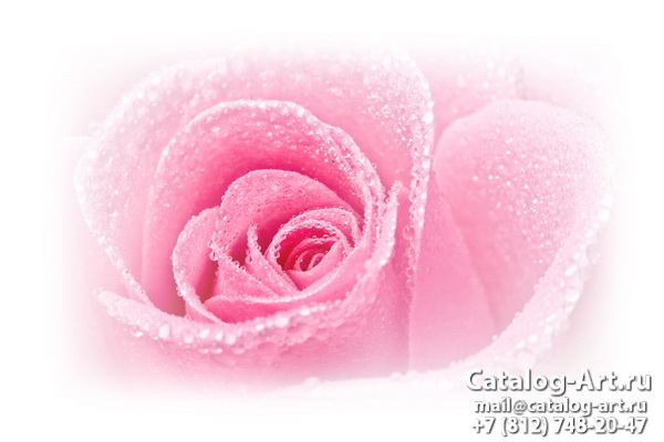 Натяжные потолки с фотопечатью - Розовые розы 19